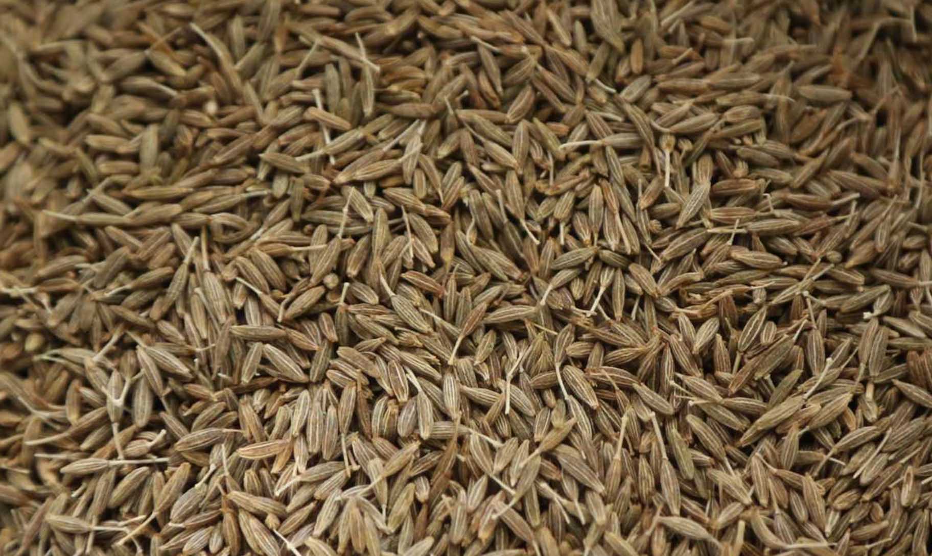 Cumin Seeds