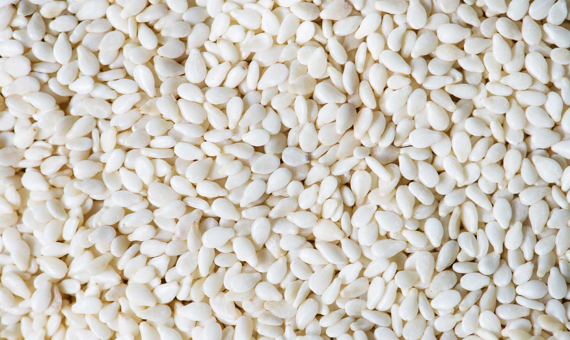 White Sesame Seeds