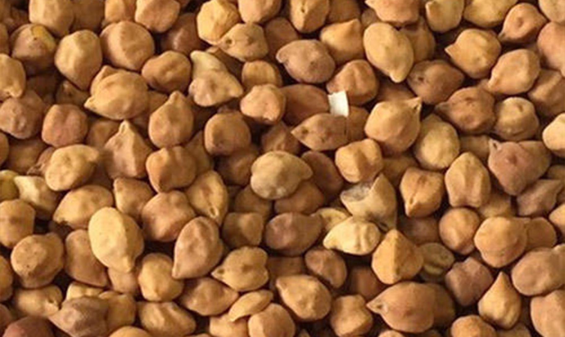 Chickpeas (Desi)