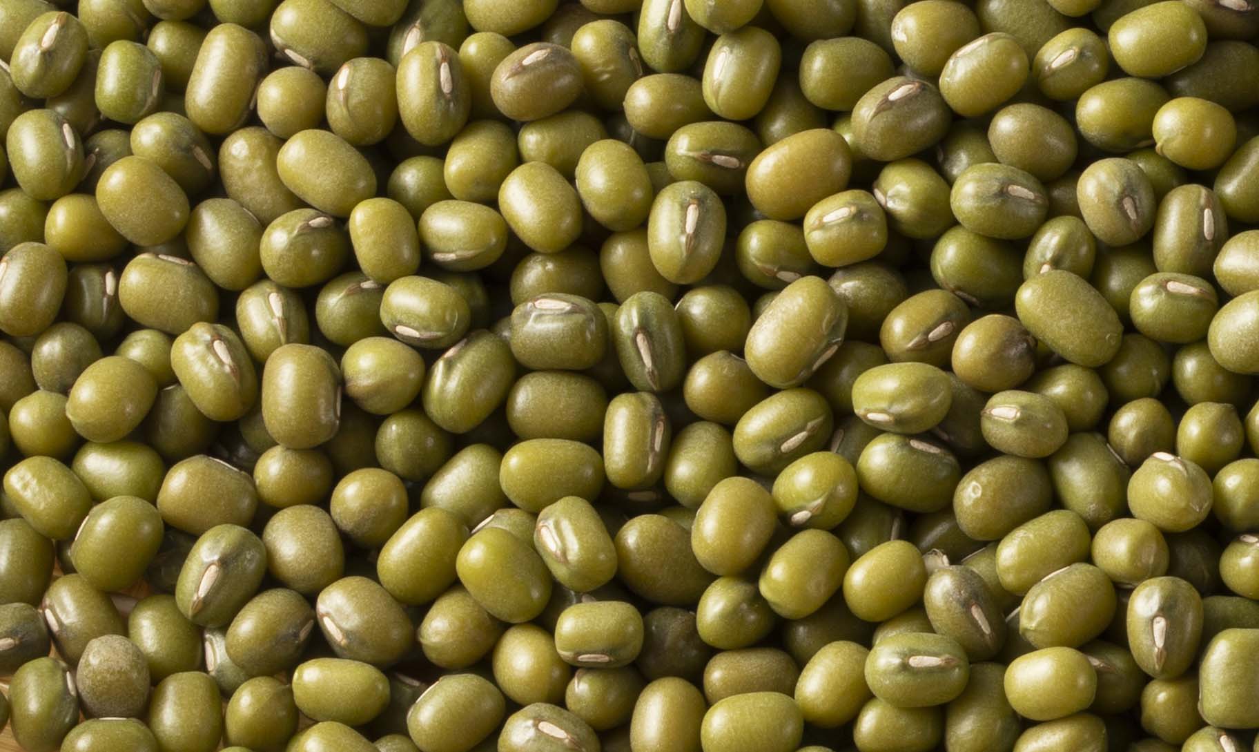 Mung Bean